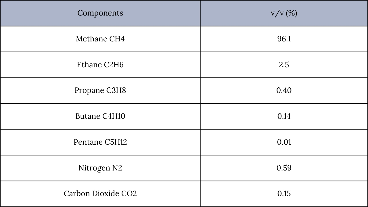 Components of CNG