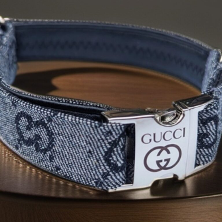 Gucci dog collar